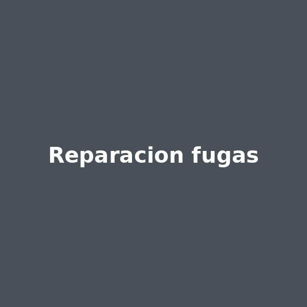 Reparación de fugas